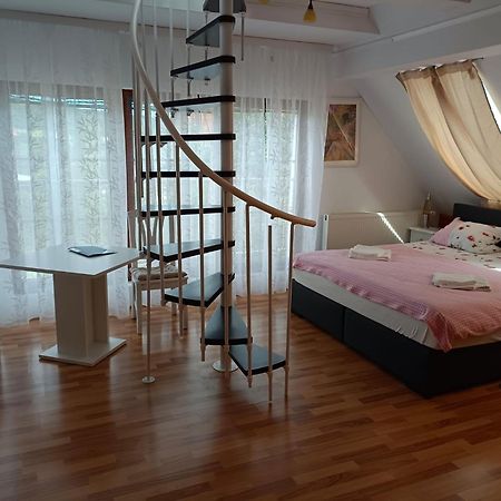 Pension Donaublick Grein 2 In Stifterstrasse19. Apartment Exterior photo
