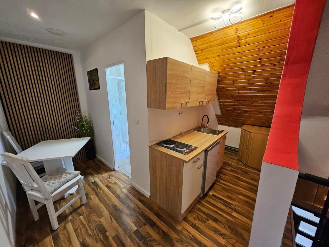 Pension Donaublick Grein 2 In Stifterstrasse19. Apartment Exterior photo